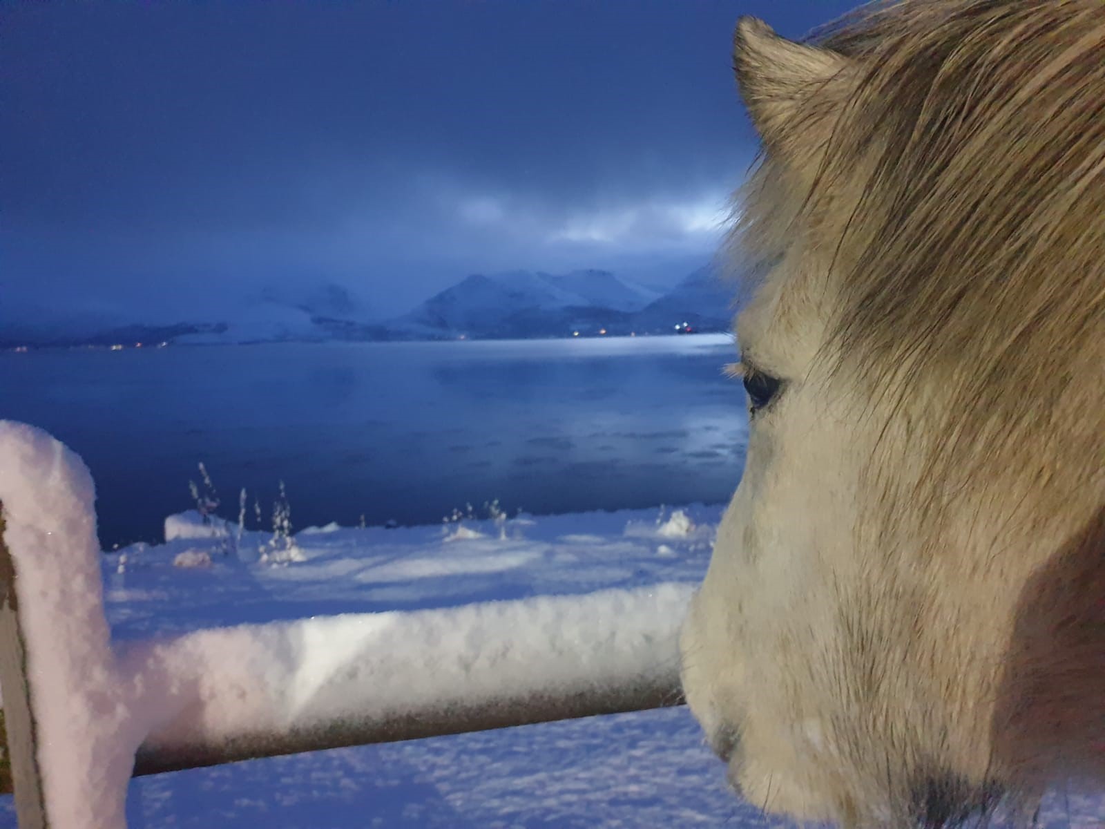 Of horses and Humans and how it all began The Neolithic Botai Culture