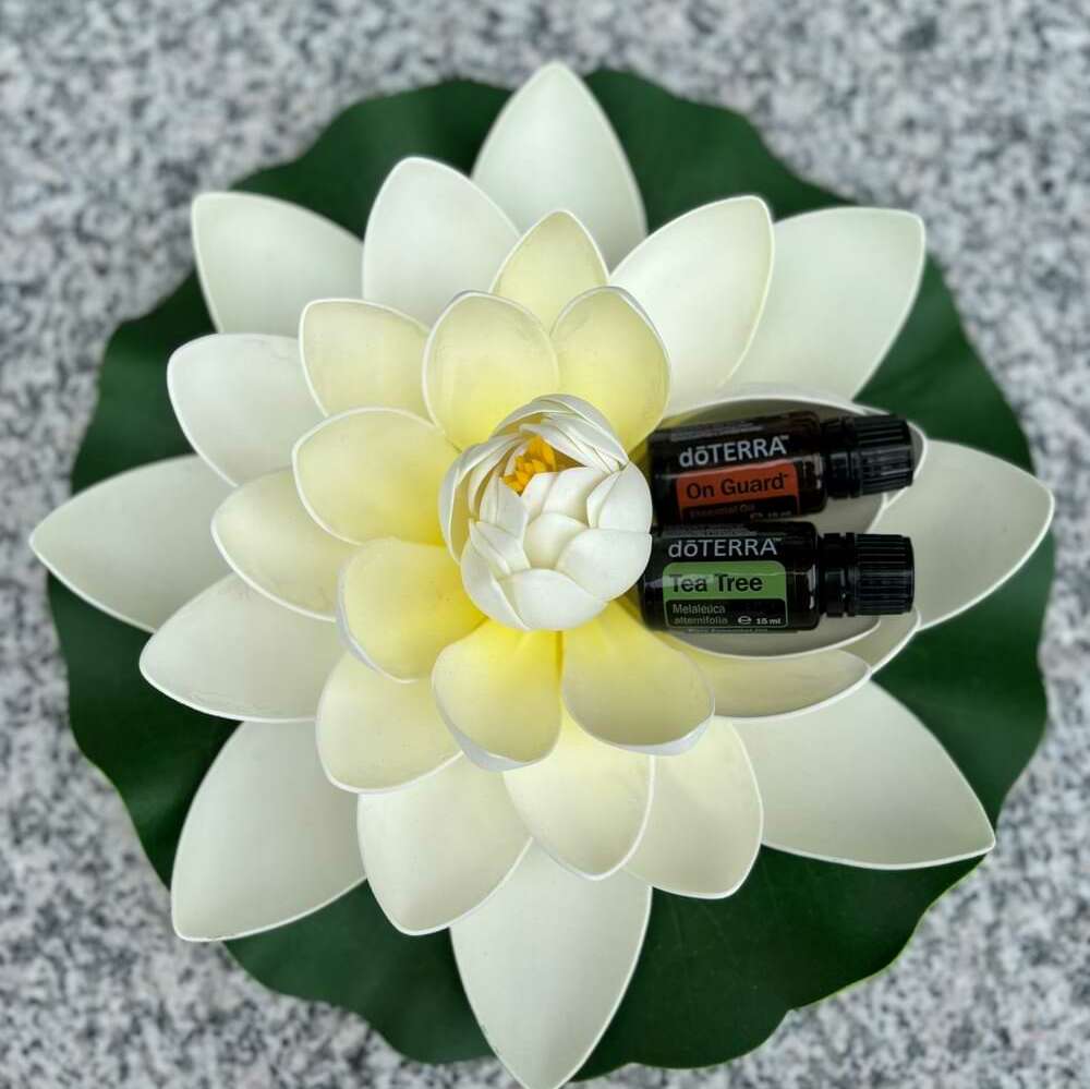doTerra Teebaum und On Guard