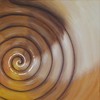 "Spirale" 2012, 80x100cm, Acryl mit Echtgold