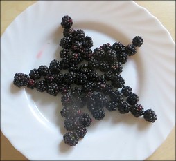 Obst und Gemüse für Kindergeburtstag kreativ schneiden und dekorieren, Tiere aus Obst legen, Wie kriegen Kinder Lust auf Obst? Tipps und Trick, wie Kinder gern Obst und Gemüse essen.