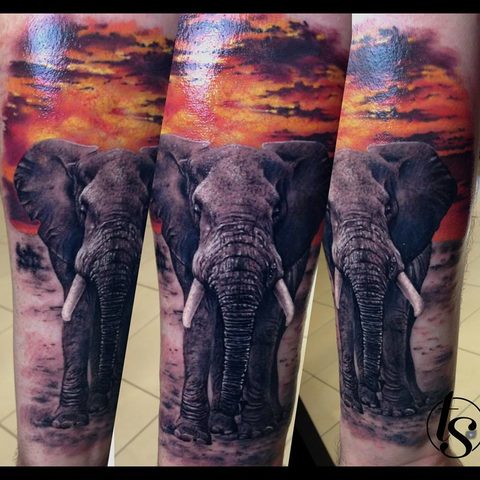 Selfmade Tattoo Berlin Zsofia Belteczky elefant elephant afrika