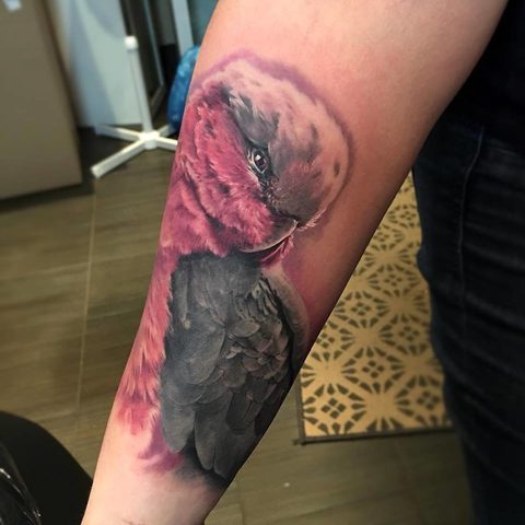 Selfmade Tattoo Berlin Zsofia Belteczky papagai bird nature