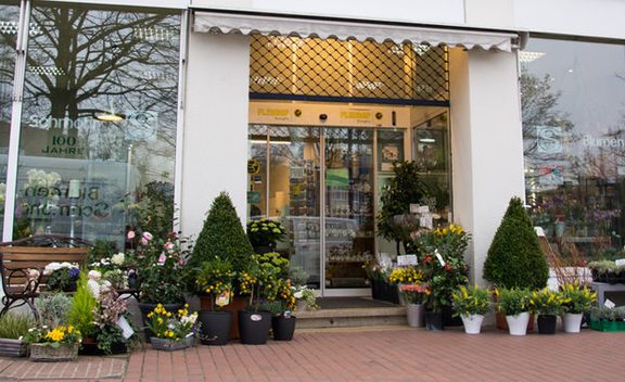 Blumen Schmohr Gmbh & Co. Kg Blumen Schmohr - Schönes von Schmohr!