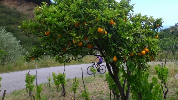 Mountainbiketour Sizilien