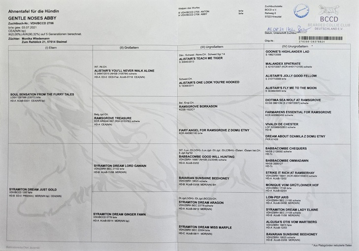 Zuchthündin Gentle Noses Abby