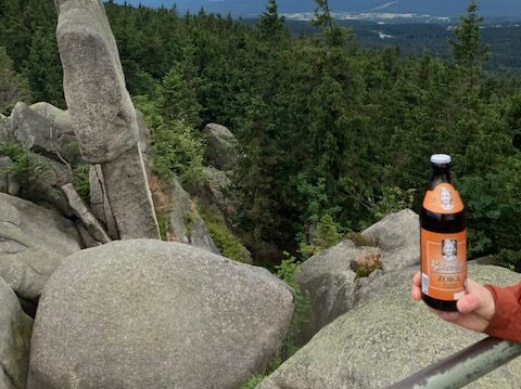 Nusshardt | Die Aussicht auf den Wald bevor wir zum Ochsenkopf "hinüberschaukeln".