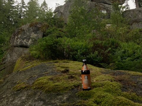 Hohe Mätze | Gipfel 10 - der Endspurt beginnt.
