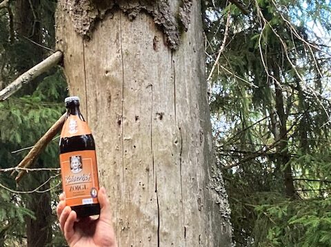 Haberstein | Gipfel 12 - das Ziel ist erreicht! 