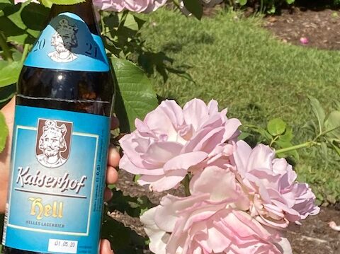 Portland, Oregon, USA | International Rose Test Garden Portland.