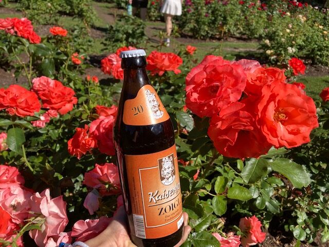 Portland, Oregon, USA | International Rose Test Garden Portland.