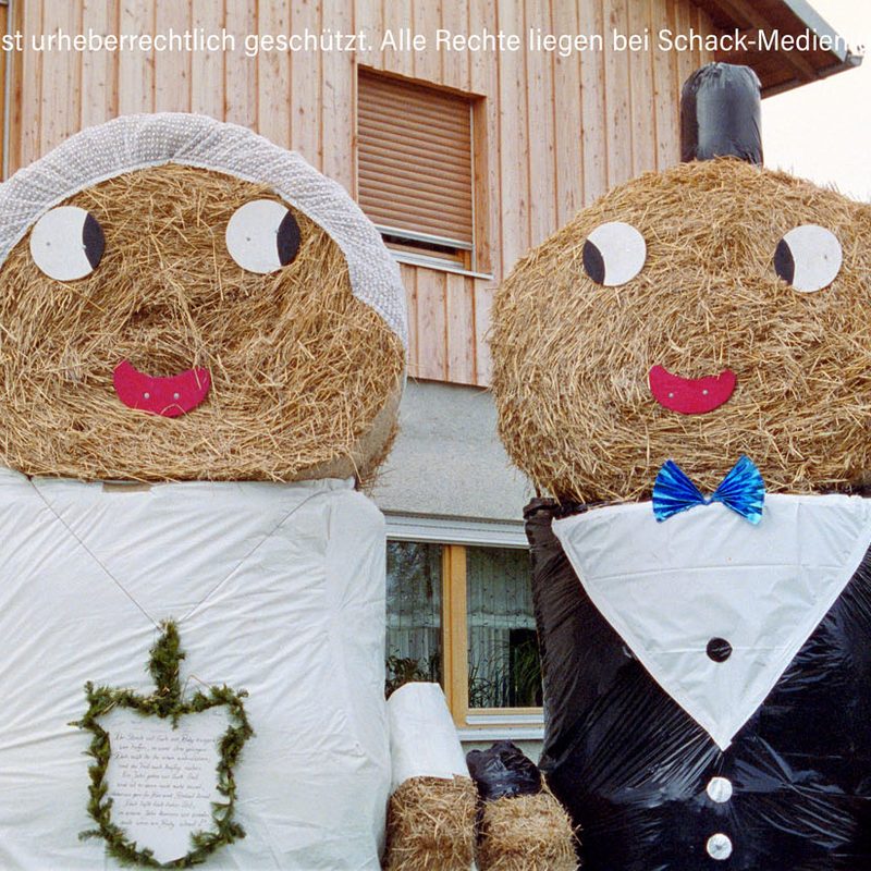 Beispiel APS nach Digital bei Schack-Medien