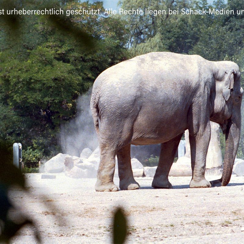 Probebild APS Digitalisierung bei Schack-Medien
